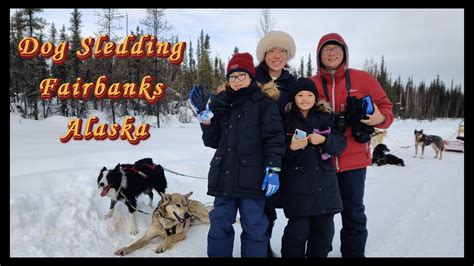 Dog Sledding Fairbanks Alaska Youtube