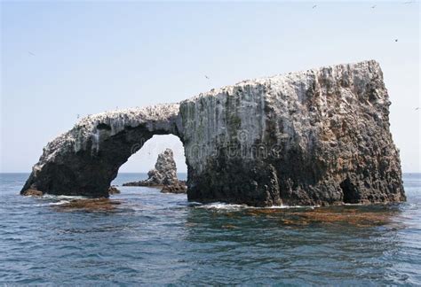Roca Arco De La Isla De Anacapa En El Parque Nacional De Las Islas De