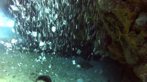 Cozumel Palancar Caves Swim Through Youtube