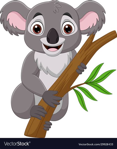Cartoon Koala On A Tree Branch Royalty Free Vector Image