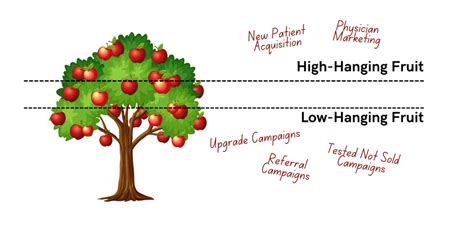 The Three Foundations How To Pluck The Low Hanging Fruit In Your Private Practice By Increasing