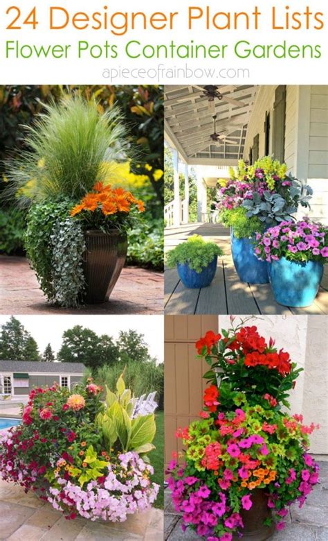 24 Designer Plant Lists For Beautiful Container Gardens And Colorful