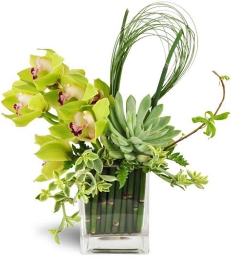 Succulent Orchid Zen Garden Vase™ Philadelphia Pa Florist