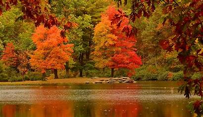 Fall Autumn Wallpapers Christian Trees Tree Nature