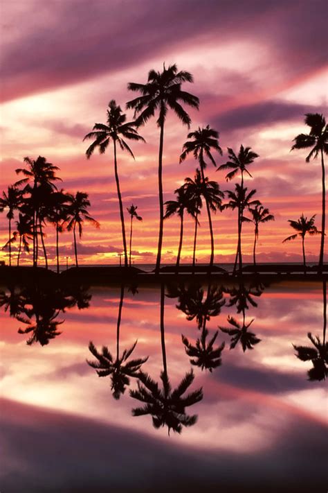 Free Download Sunset Over The Ala Moana Beach Park Honolulu Oahu Hawaii