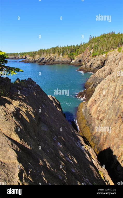 Cutler Coastal Trail Bold Coast Preserve Cutler Maine Usa Stock