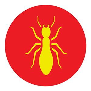 Buford, take back your home! Pest Control Buford GA - Mosquito & Termite - Buford Pest ...