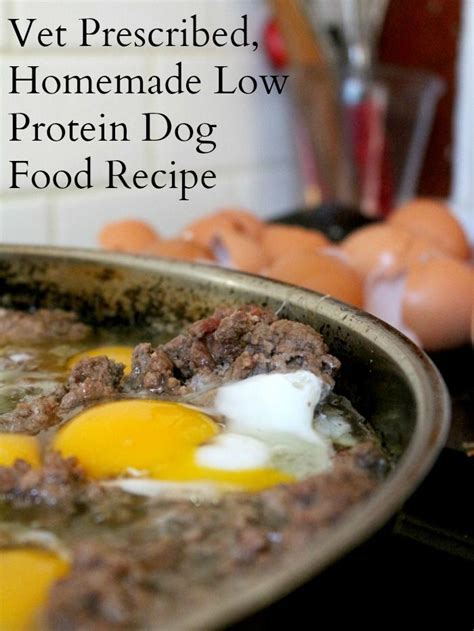 If you're looking to give making your own dog food a whirl, this recipe is loaded with lean protein and nourishing vegetables, and incorporates a healthy view image. Homemade Dog Food Recipes for Senior Dogs | Recipe | Dog ...