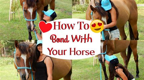How To Bond With Your Horse Ways To Spend Time With A Horse Youtube