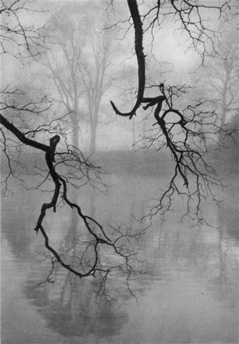 Vintage Nature Photography Art Photography Black White Photos Black