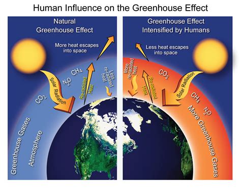 Human Influence On The Greenhouse Effect National Climate Assessment