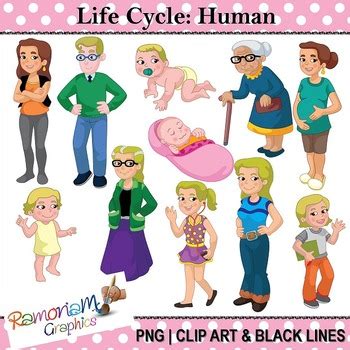 He is a helpless baby, just crying and throwing up. Human Life Cycle Clip art by RamonaM Graphics | Teachers ...