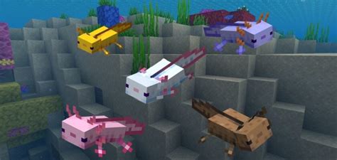 What Do Axolotls Eat In Minecraft A Comprehensive Guide