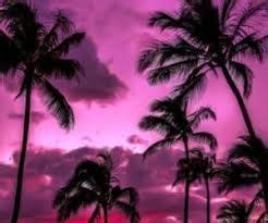 Aesthetic wallpaper edgy baddie aesthetic background. Image result for baddie background | Miami sunset, Sunset