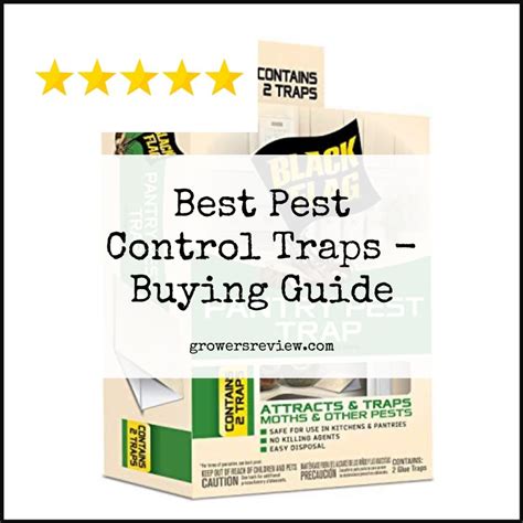 Best Pest Control Traps Buying Guide And Review