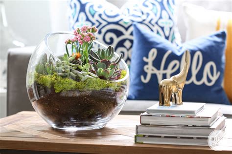 The first thing you need to do is find a location. Succulent Garden Bowl