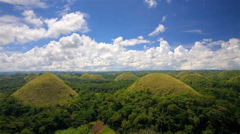 Chocolate Hills Bohol Nature Landscape Forest Mountains Hd