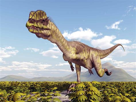 The Dinosaurs And Prehistoric Animals Of Arizona