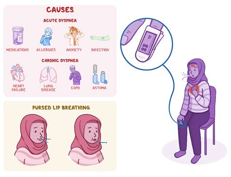 Check spelling or type a new query. Osmosis - Dyspnea: What Is It, Pronunciation, Causes ...