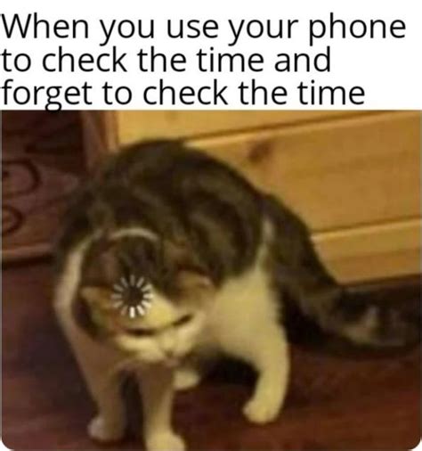 45 Fresh Memes For Today Funnyfoto