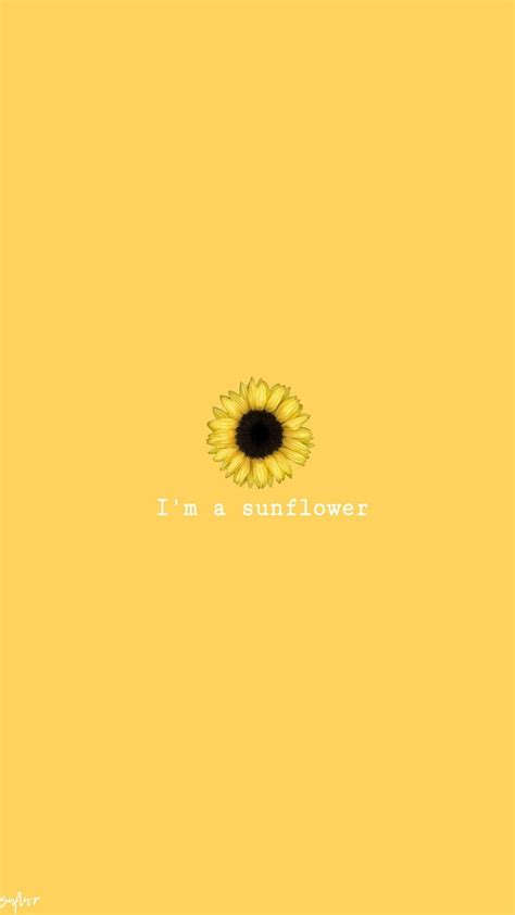 Yellow Sunflowers Wallpapers Wallpaper Cave