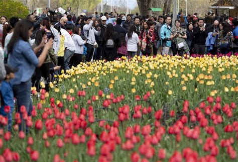 Ottawa's tourism industry watching and waiting for COVID-19 | CBC News