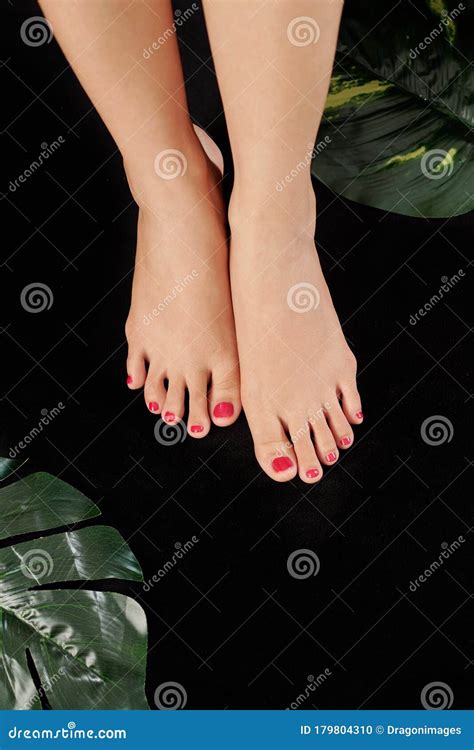 Pedicured Feet Of Woman Stock Photo Image Of Closeup 179804310