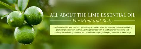 Lime Essential Oil Benefits For Body And Mind
