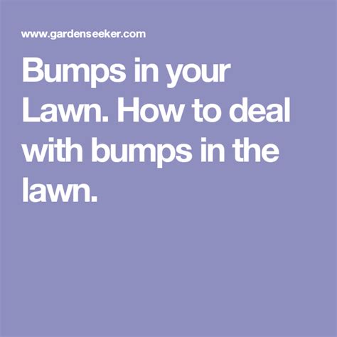 Bumps In Your Lawn How To Deal With Bumps In The Lawn Lawn Lawn