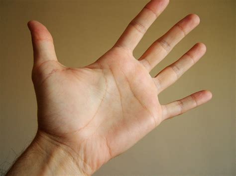 Free hand Stock Photo - FreeImages.com