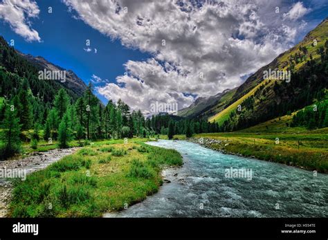 Mountain River In The Swiss Alps In The Midst Of Meadows Stock Photo