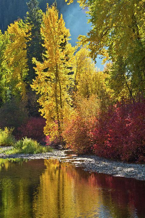 Autumn Color White River Wenatchee Photograph By Michel Hersen Fine