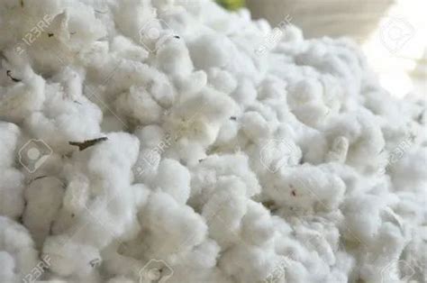 Raw Cotton At Best Price In India