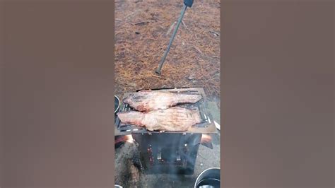 Coffee And Bacon In The Woods Firebox Stove Youtube