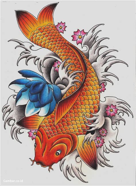 desain-tato-ikan-koi-di-punggung-koi-fish-drawing-tattoo,-koi-tattoo-design,-koi-art