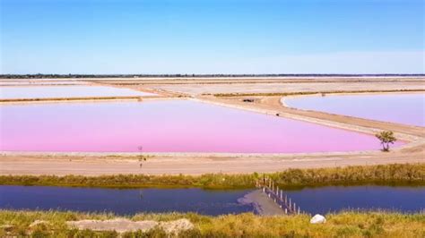 Pink Salt Lakes In Camargue An Off The Beaten Path Destination In
