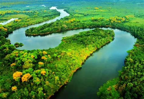 Sitios Turisticos Rio Amazonas Pulmon Del Mundo