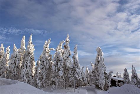 Hi Finland Blog Lapland True Winter Wonderland Destination Start