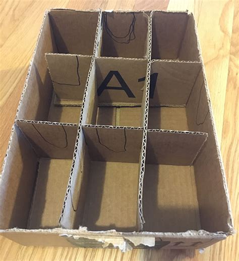 Diy Cardboard Box Maze Exotic Animal Supplies