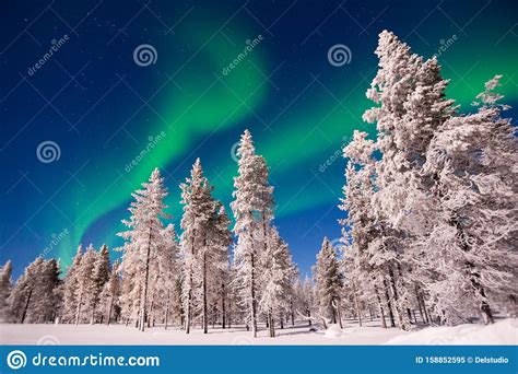 Luces Boreales En Laponia Finlandia Imagen De Archivo Imagen De