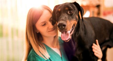 Dassel, mn real estate & homes for sale. Services offered by Caring Paws | Minneapolis, MN Pet ...