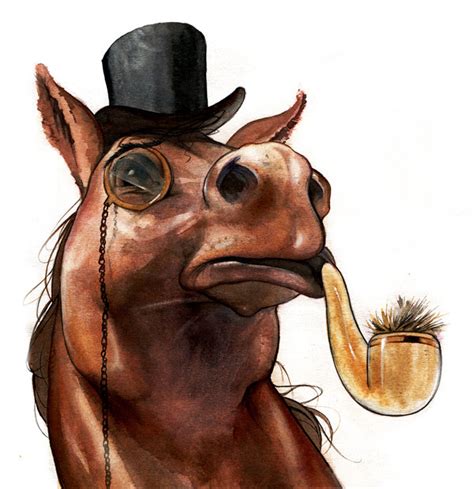 animals selection on Behance