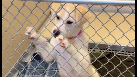 What's Up Sioux Falls talks to the lovely ladies at the SIOUX FALLS