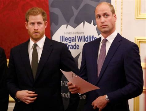 Prince Harry William Break Silence On Princess Dianas 1995 Interview