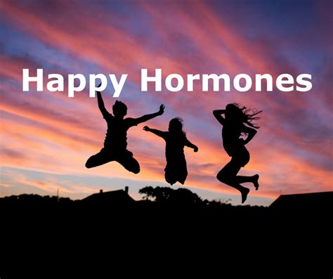 happy hormones for the brain be kind 2 you