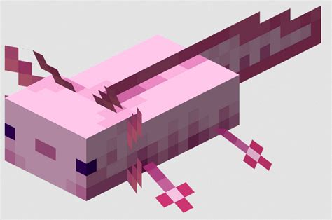 How Many Colors Of Axolotls Are There In Minecraft All You Need To