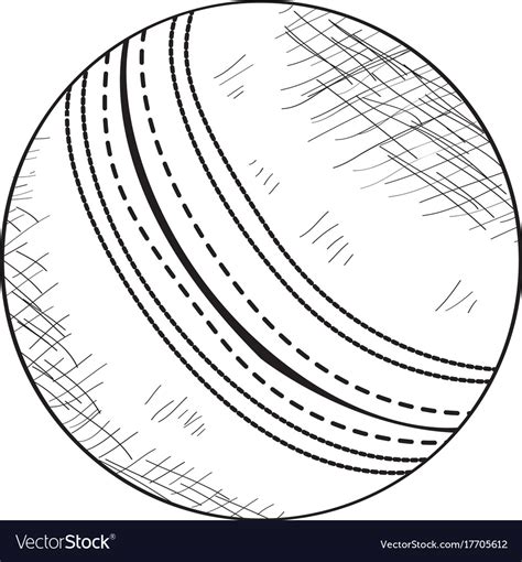 Sketch Of A Cricket Ball Royalty Free Vector Image