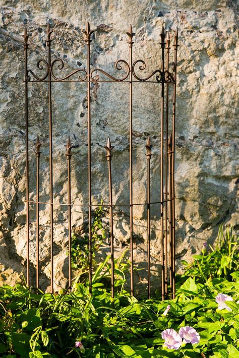 Metallzaun modern metall eisen rundbogen rankgitter sichtschutz spalier. Pin auf Rankgitter
