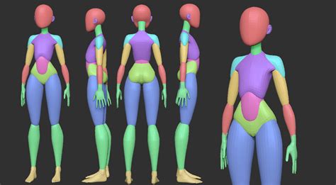 Free Stylized Anime Primitive Anatomy Stylized Female Anatomy Reference Anatomy Reference