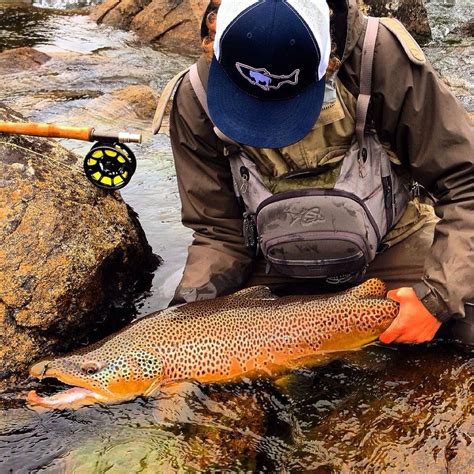 One Of The Most Incredible Brown Trout On The Fly I Have Ever Seen